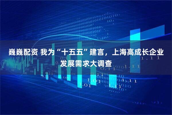巍巍配资 我为“十五五”建言，上海高成长企业发展需求大调查
