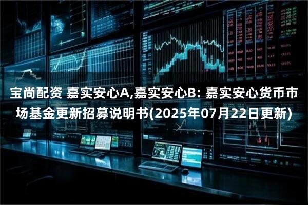 宝尚配资 嘉实安心A,嘉实安心B: 嘉实安心货币市场基金更新招募说明书(2025年07月22日更新)