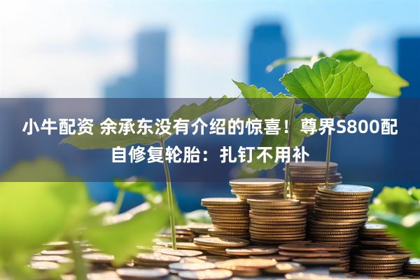 小牛配资 余承东没有介绍的惊喜！尊界S800配自修复轮胎：扎钉不用补